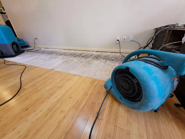 Professional Basement Flood Cleanup technician working in Inwood, NY